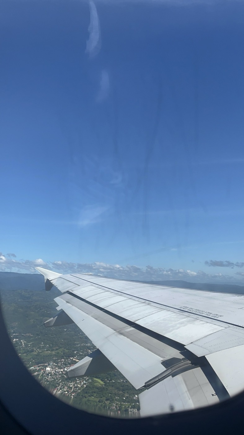 View from an airplane window